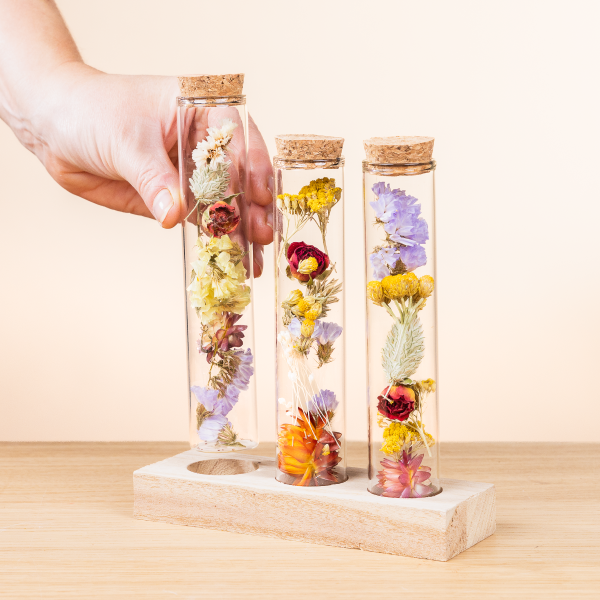 Trockenblumen-Set „Little Wish“ bringt Farbe in die Dekoration