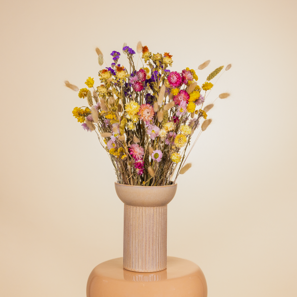 Farbenfroher Trockenblumenstrauß „Illuminating Flowers XL“ für 39,99 Euro